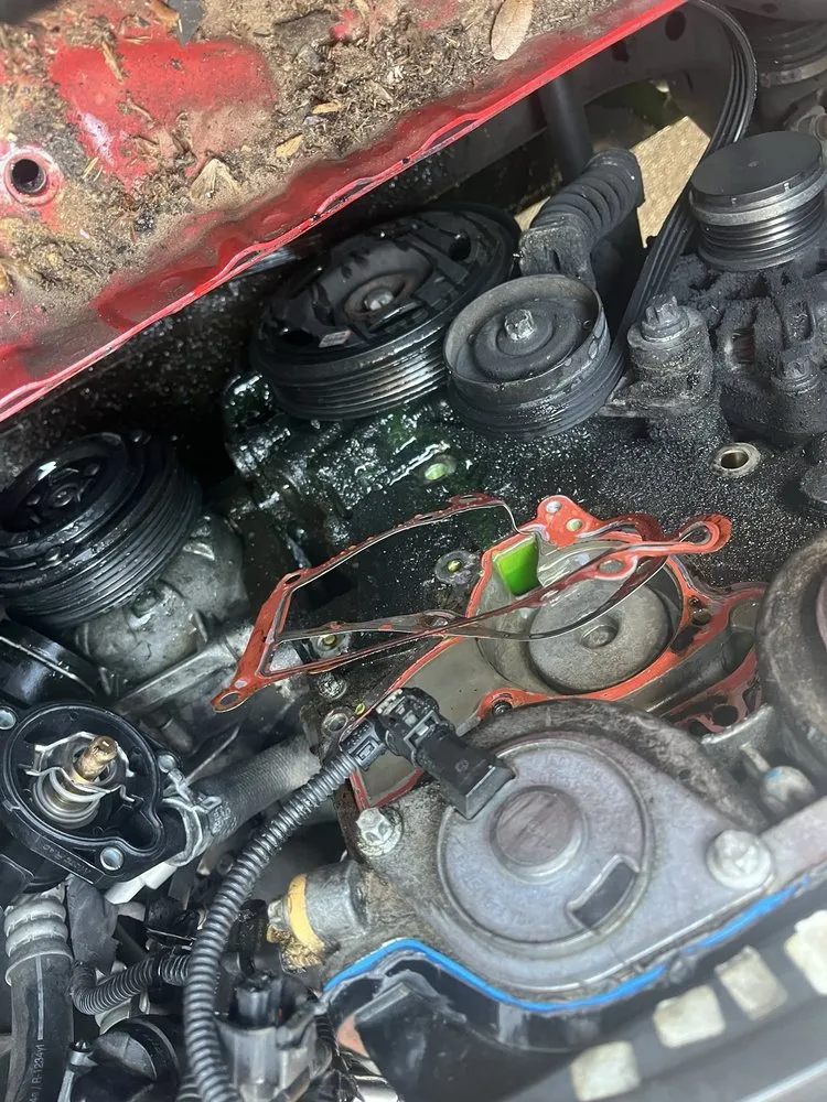 Reliable garden landscaping in Florence, AL - Thompson Handy Services