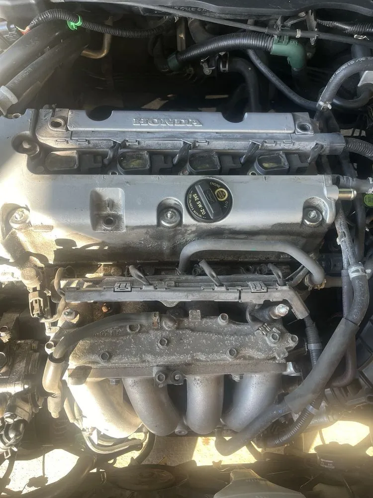 Reliable yard maintenance in Florence, AL - Thompson Handy Services