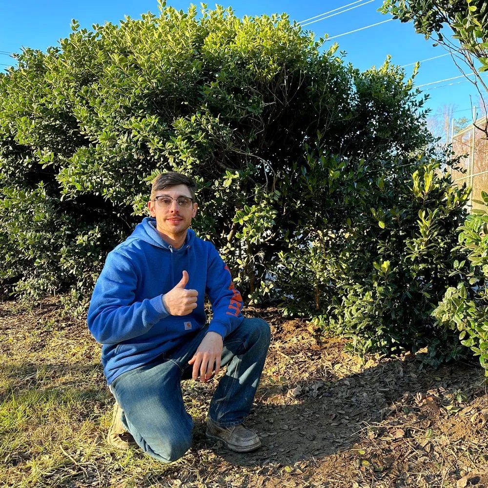 Top-rated garden landscaping experts serving Hendersonville, NC - Thompson Improvements Pro Services