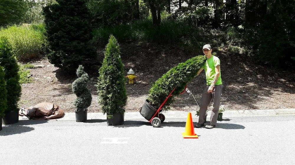 Affordable residential landscaping in Hendersonville, NC by Thompson Improvements Pro Services