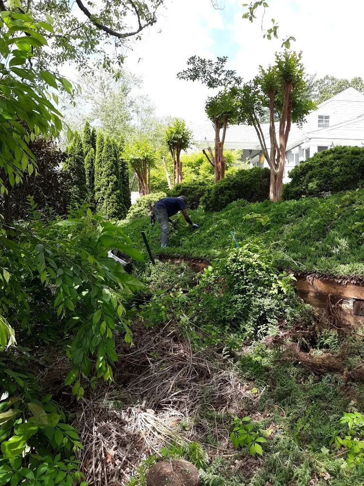 Reliable lawn mowing service in Hendersonville, NC - Thompson Improvements Pro Services