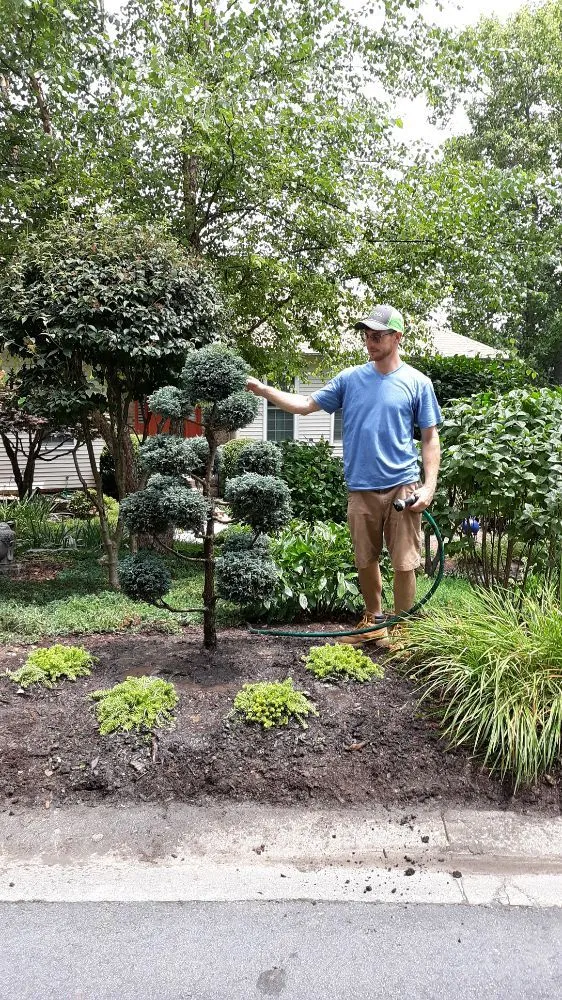 Top-rated landscape installation in Hendersonville, NC - Thompson Improvements Pro Services