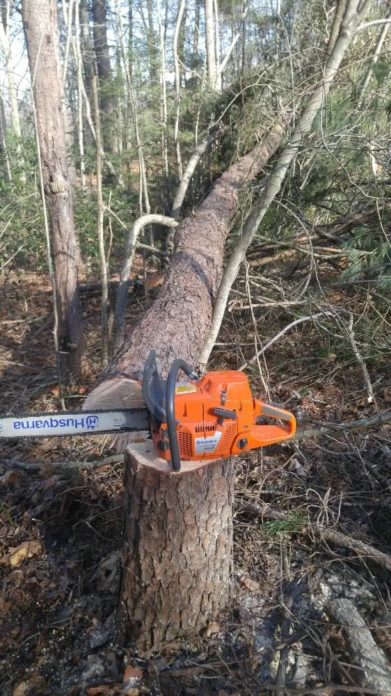 Local residential landscaping in Hendersonville, NC - Thompson Improvements Pro Services