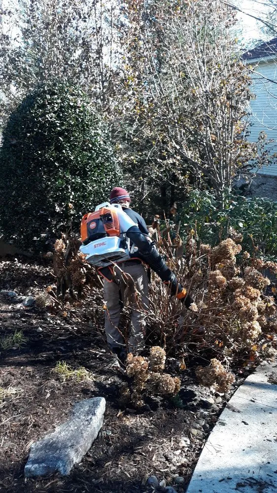 Top-rated landscape installation experts serving Hendersonville, NC - Thompson Improvements Pro Services