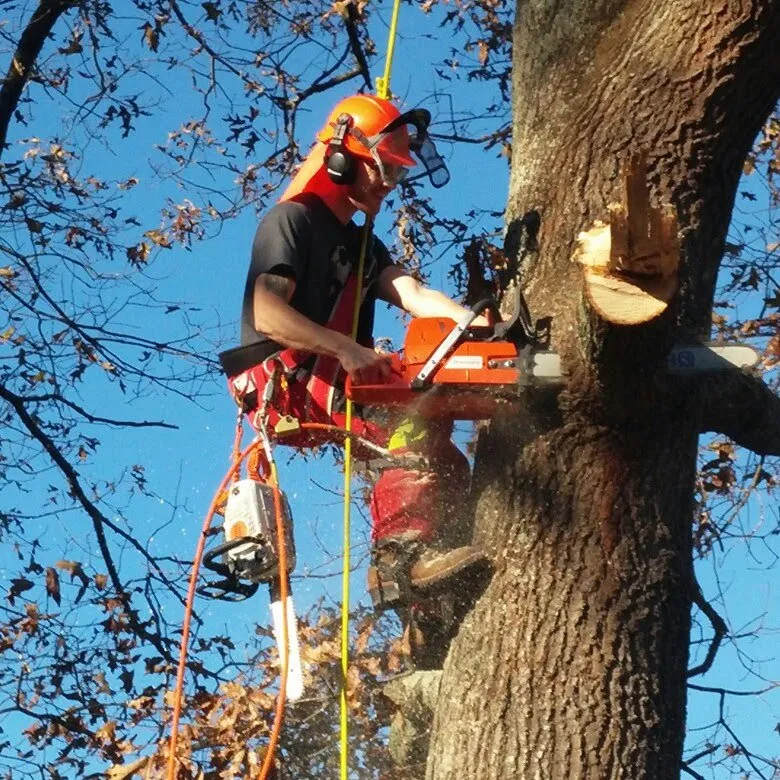 Affordable outdoor landscaping for homes in Hendersonville, NC by Thompson Improvements Pro Services