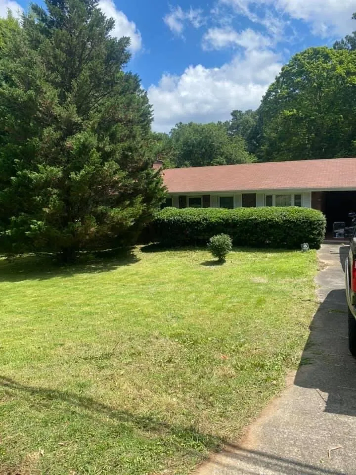 Professional landscaping services experts serving Holly Springs, GA - Thompson Landscape