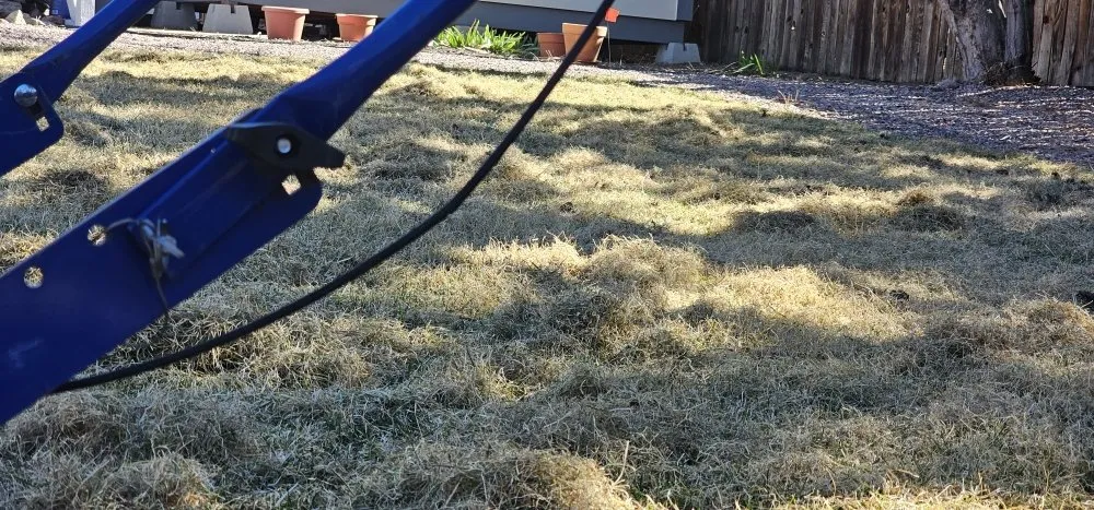 Local yard cleanup service for homes in Colorado Springs, CO by Thompson Landscaping