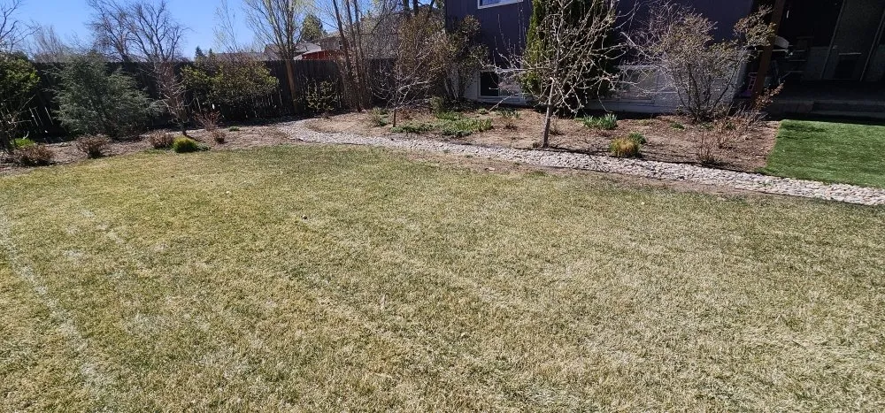 Trusted outdoor landscaping near you across Colorado Springs, CO - Thompson Landscaping