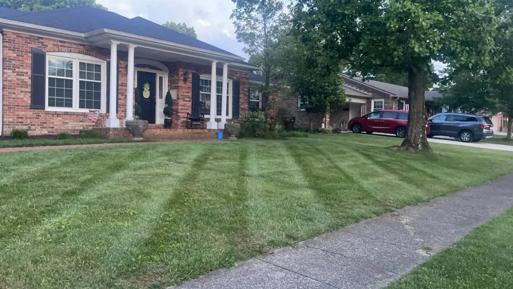 Top-rated residential landscaping in Nicholasville, KY - Thompson Landscaping
