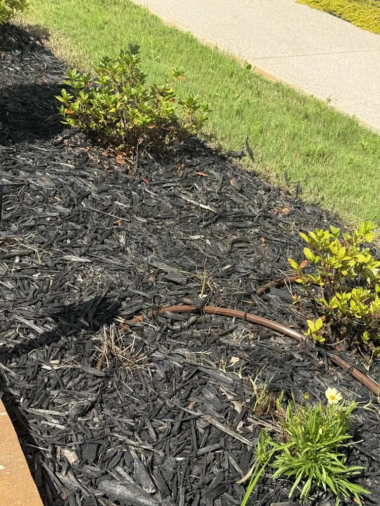 Reliable outdoor landscaping experts serving Cumming, GA - Thompson Landscaping Service