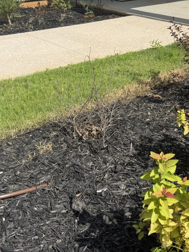 Local landscape design experts serving Cumming, GA - Thompson Landscaping Service