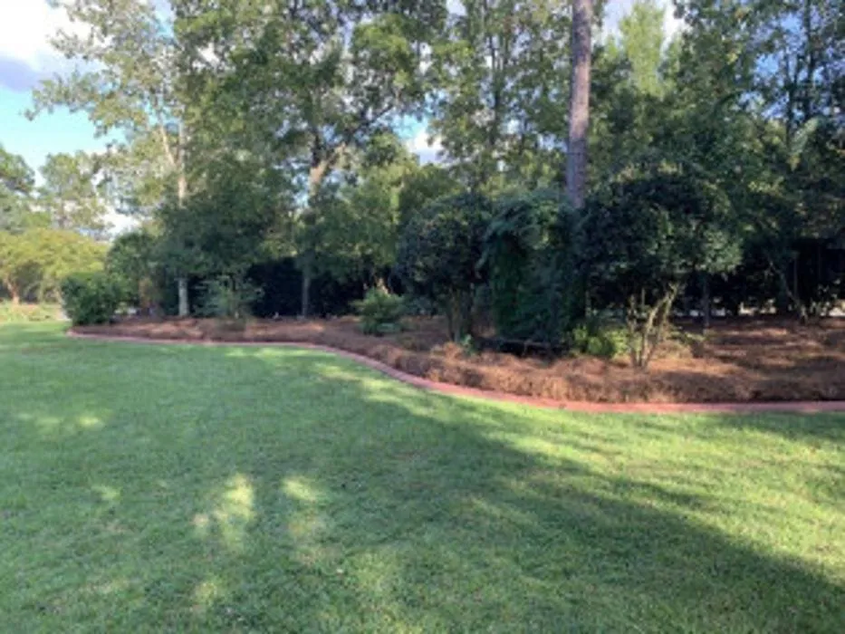Affordable outdoor landscaping in Columbia, SC by Thompson Lawn & Landscape
