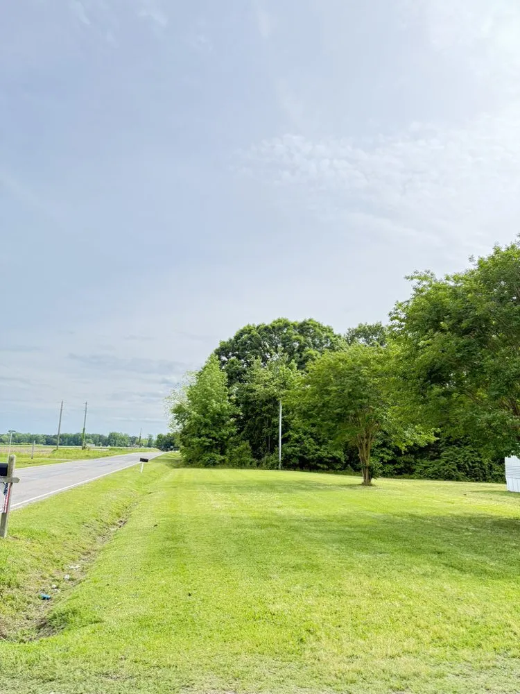 Reliable outdoor landscaping experts serving Rocky Mount, NC - Thompson Lawn And Landscape