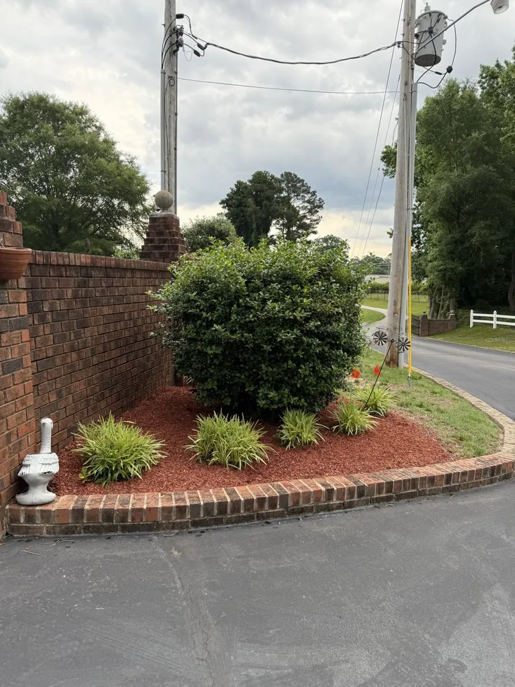 Top-rated yard cleanup service in Rocky Mount, NC - Thompson Lawn And Landscape