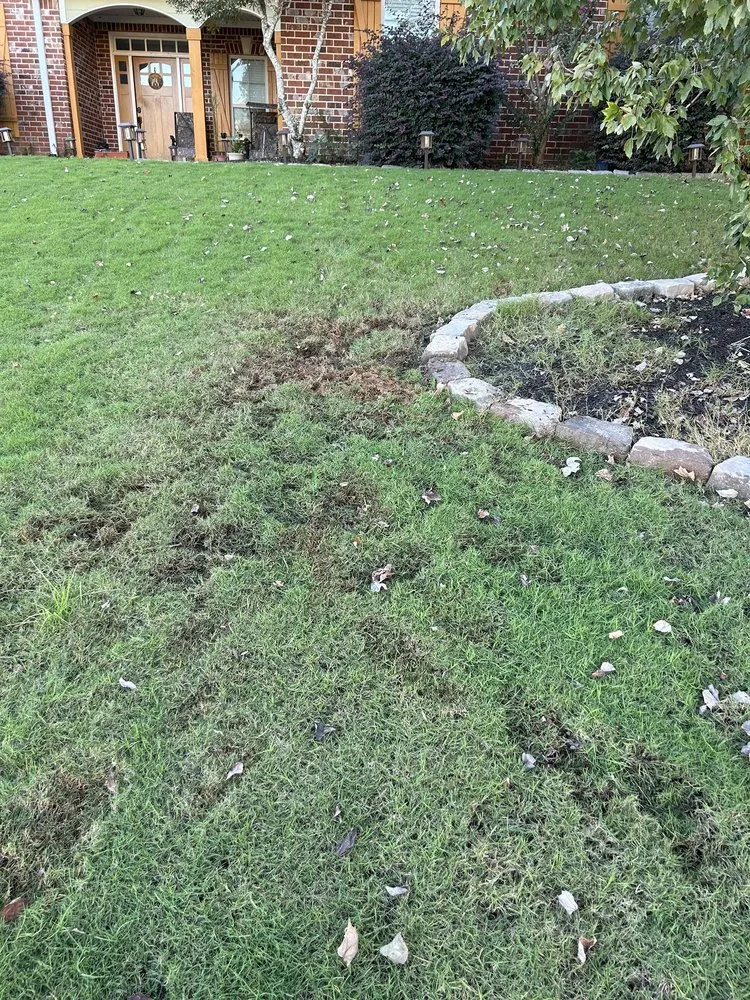 Reliable yard cleanup service for outdoor upgrades across Evans, GA - Thompson Lawn and Sprinkler