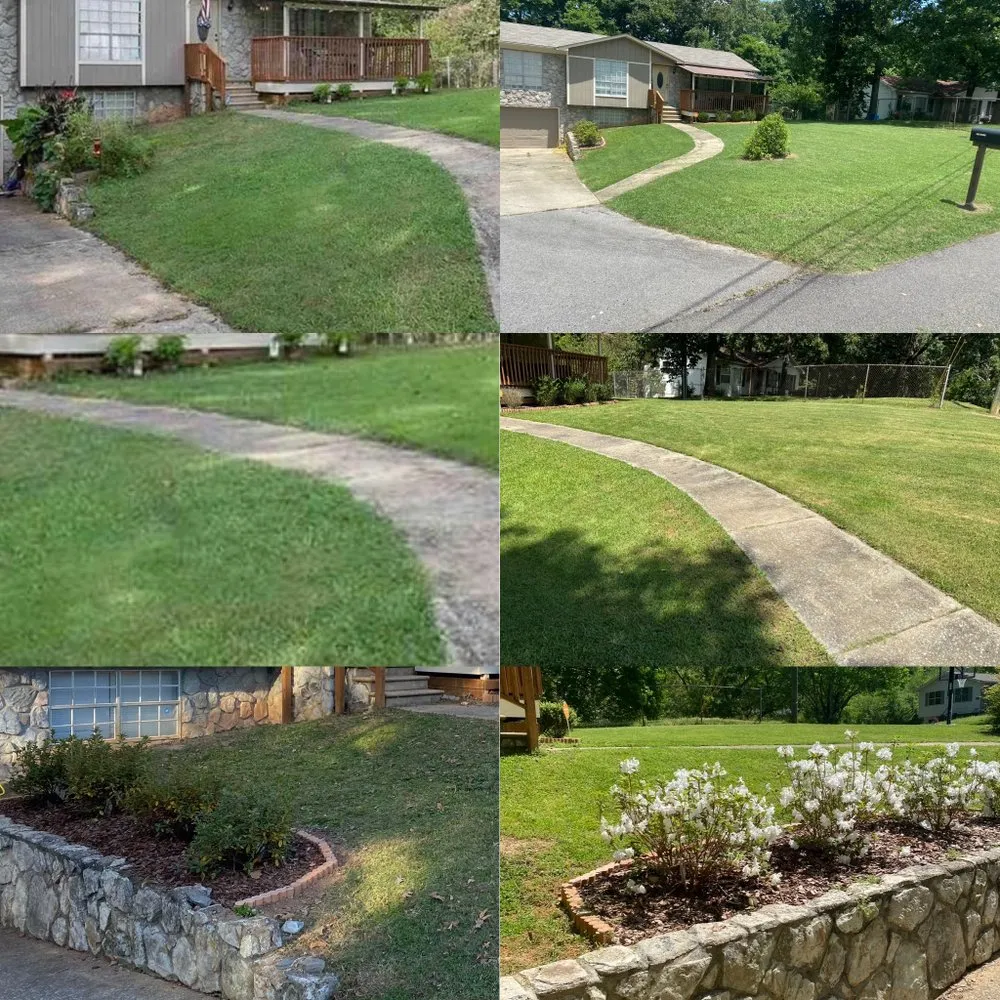 Professional yard maintenance for year-round maintenance across Trussville, AL - Thompson Lawn-Care & Repair Service