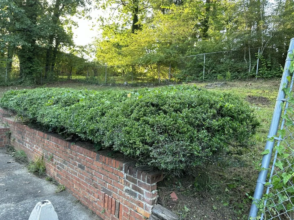 Affordable outdoor landscaping for residential properties across Trussville, AL - Thompson Lawn-Care & Repair Service