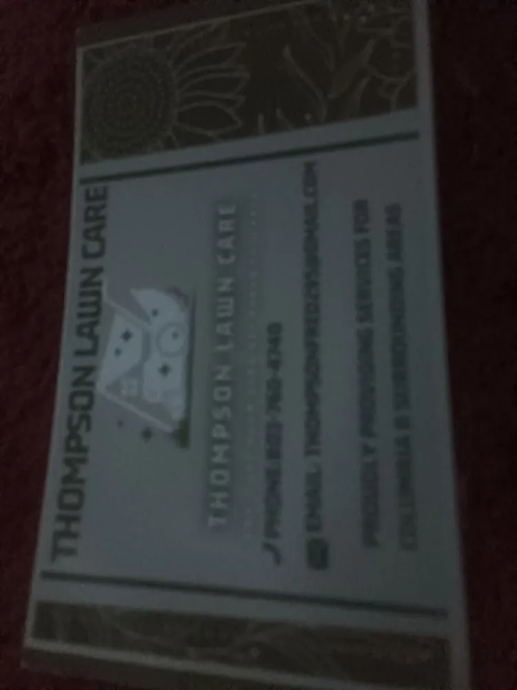 Professional yard cleanup service for year-round maintenance in Columbia, SC by Thompson Lawn Care