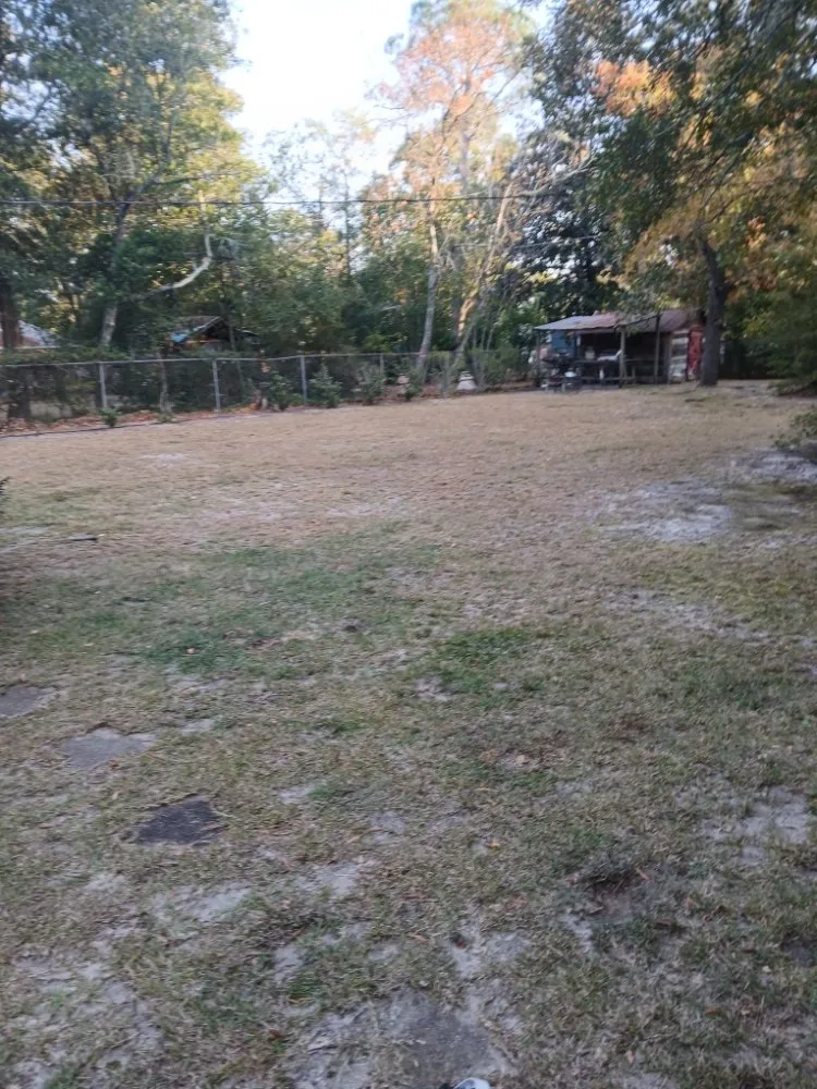 Professional outdoor landscaping experts serving Columbia, SC - Thompson Lawn Care