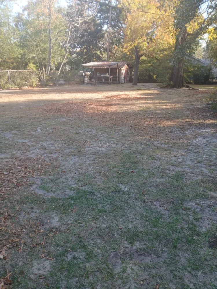 Trusted landscaping services experts serving Columbia, SC - Thompson Lawn Care