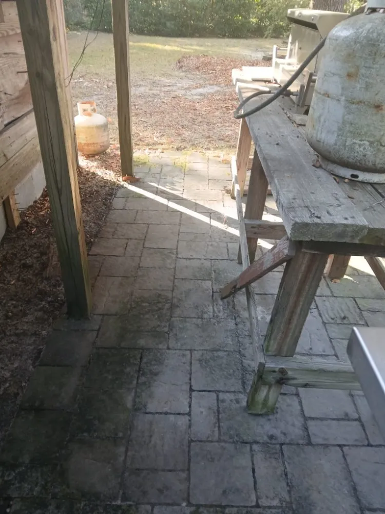 Expert yard maintenance experts serving Columbia, SC - Thompson Lawn Care