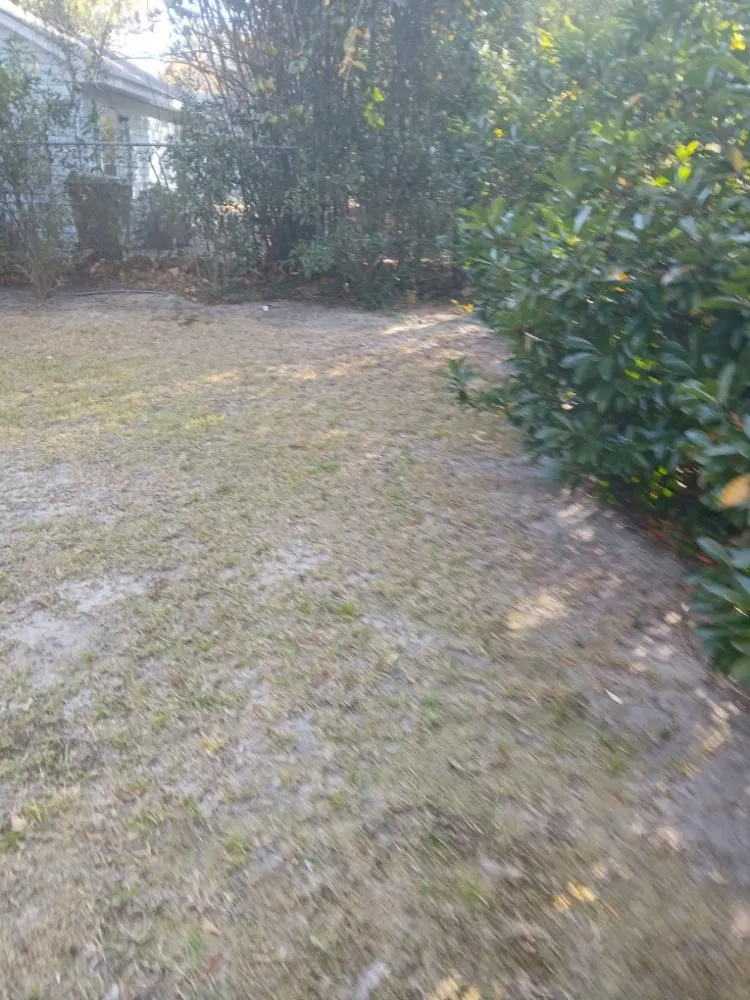 Local lawn mowing service for year-round maintenance in Columbia, SC by Thompson Lawn Care