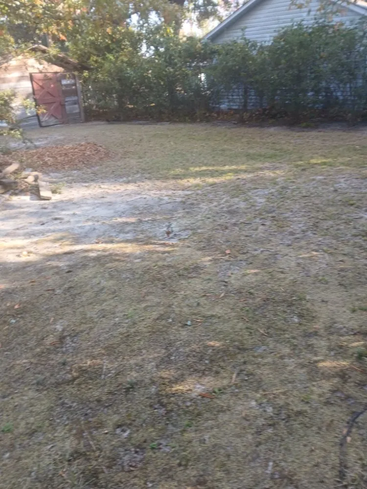 Professional outdoor landscaping in Columbia, SC by Thompson Lawn Care