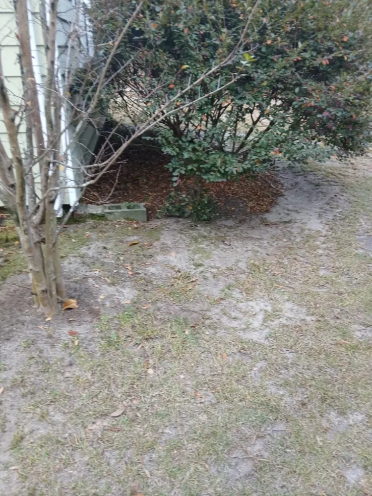 Custom garden landscaping in Columbia, SC by Thompson Lawn Care