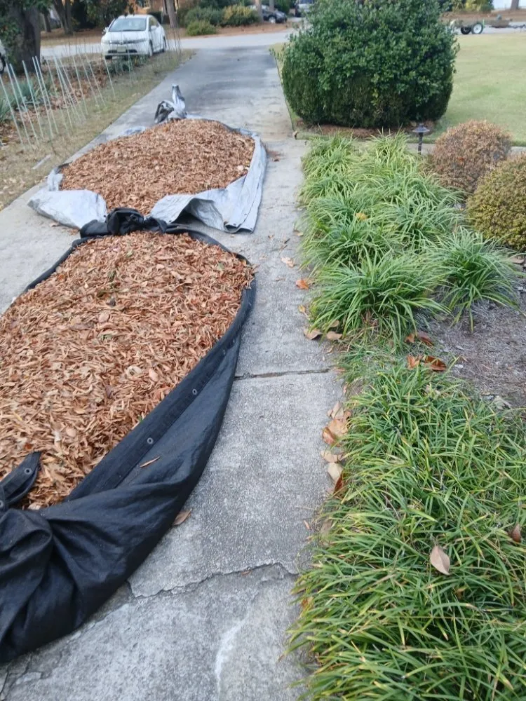 Reliable lawn mowing service for beautiful yards in Columbia, SC by Thompson Lawn Care