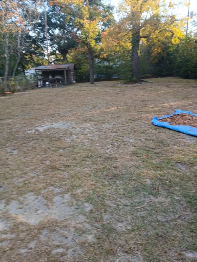 Expert landscape installation in Columbia, SC - Thompson Lawn Care