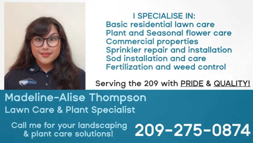 Trusted landscape design with custom design across Oakdale, CA - Thompson Lawn Care