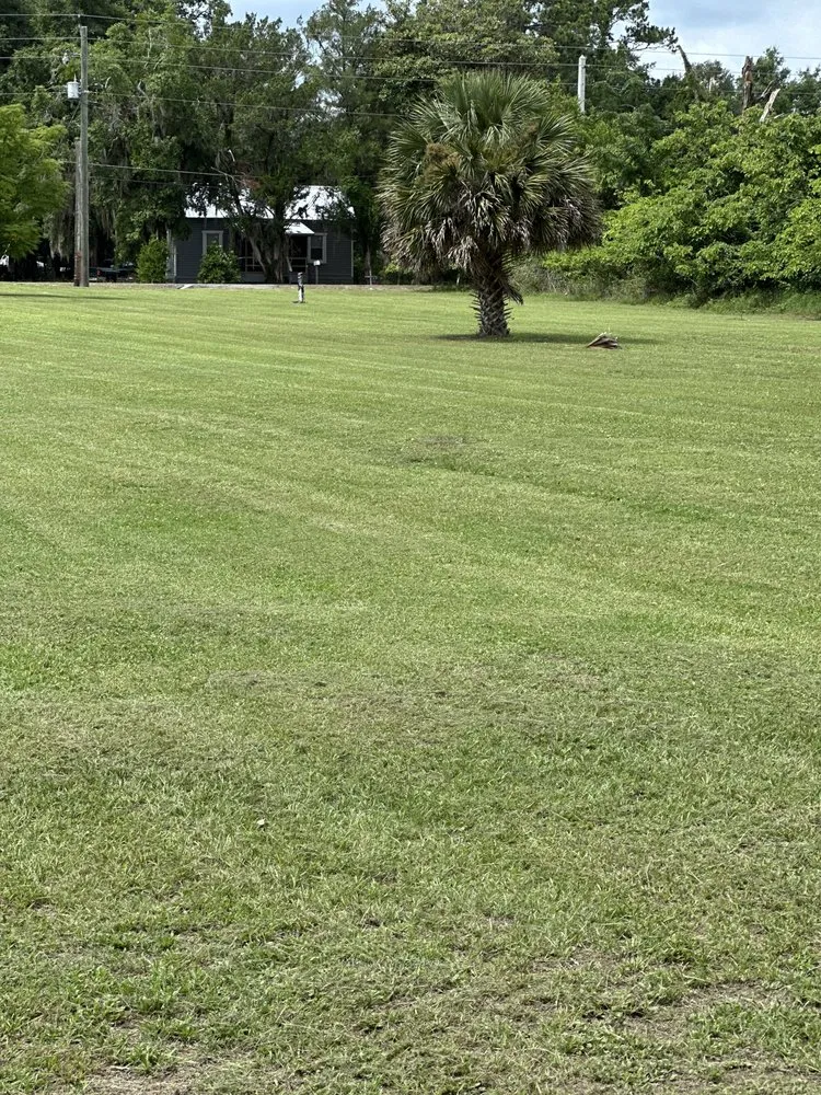 Reliable lawn care service in Lake City, FL by Thompson Lawn Care Services