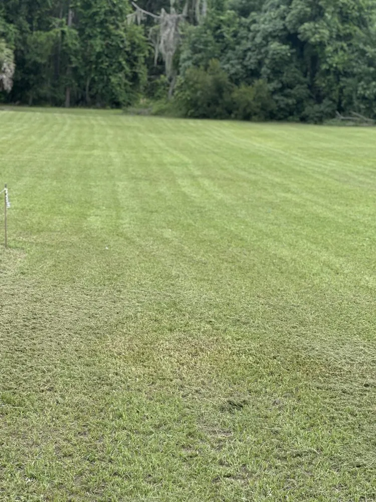 Professional landscape installation for year-round maintenance across Lake City, FL - Thompson Lawn Care Services