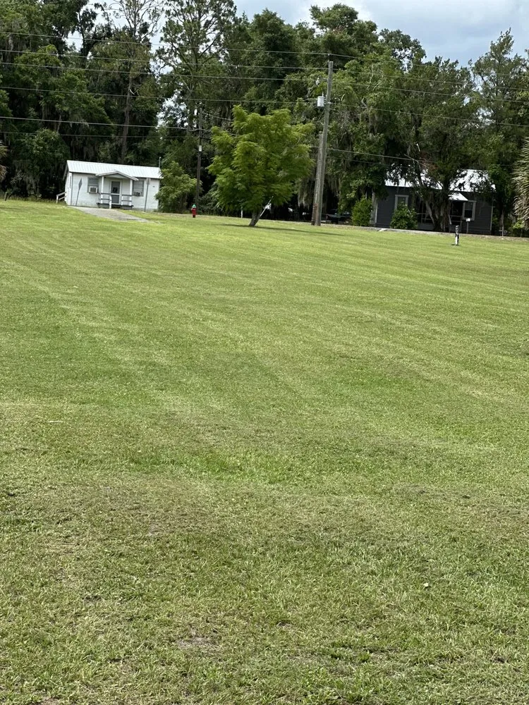 Expert outdoor landscaping experts serving Lake City, FL - Thompson Lawn Care Services