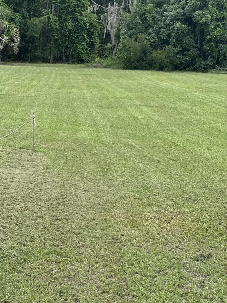 Expert residential landscaping experts serving Lake City, FL - Thompson Lawn Care Services