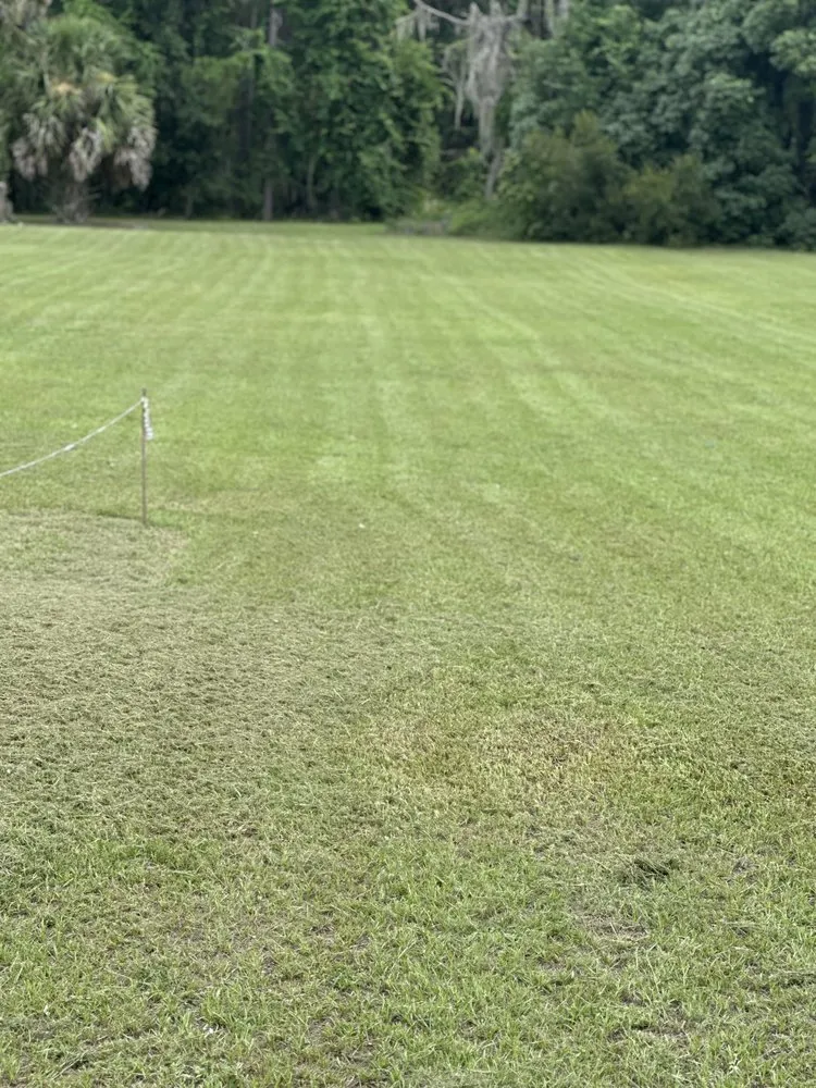 Professional residential landscaping for beautiful yards in Lake City, FL by Thompson Lawn Care Services