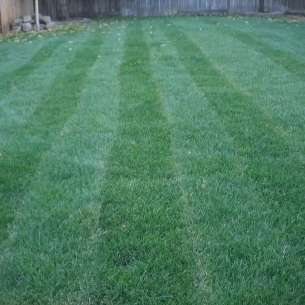 Reliable landscape installation experts serving Boise, ID - Thompson Lawn Service
