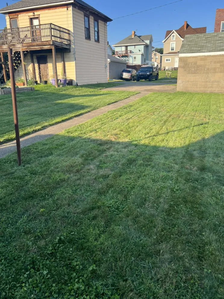 Top-rated yard maintenance for year-round maintenance in Monaca, PA by Thompson lawn service
