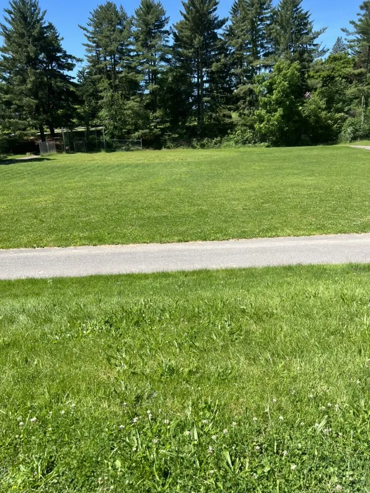 Reliable lawn mowing service experts serving Monaca, PA - Thompson lawn service