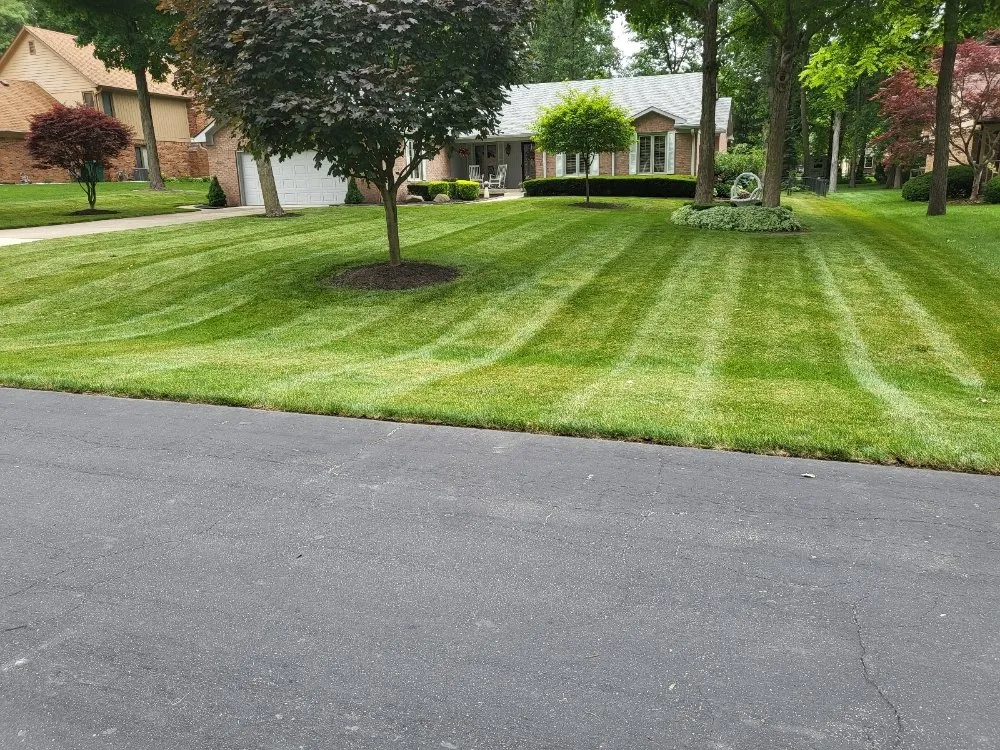 Top-rated outdoor landscaping in Fountaintown, IN - Thompson Lawn Services