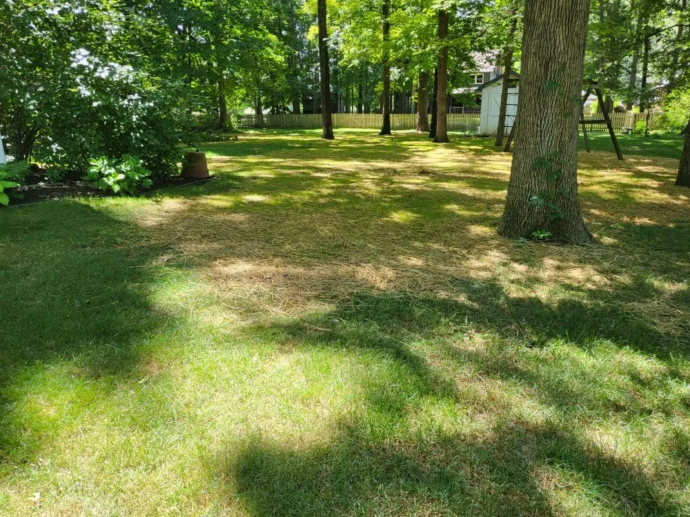 Reliable lawn care service in Fountaintown, IN by Thompson Lawn Services