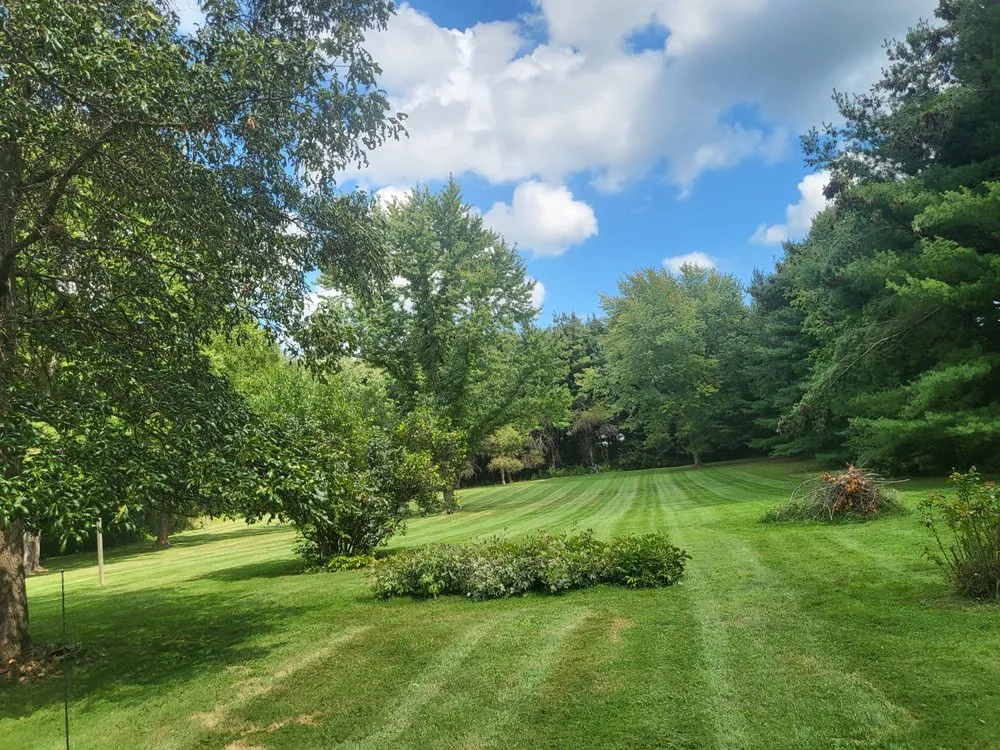 Top-rated yard cleanup service experts serving Fountaintown, IN - Thompson Lawn Services