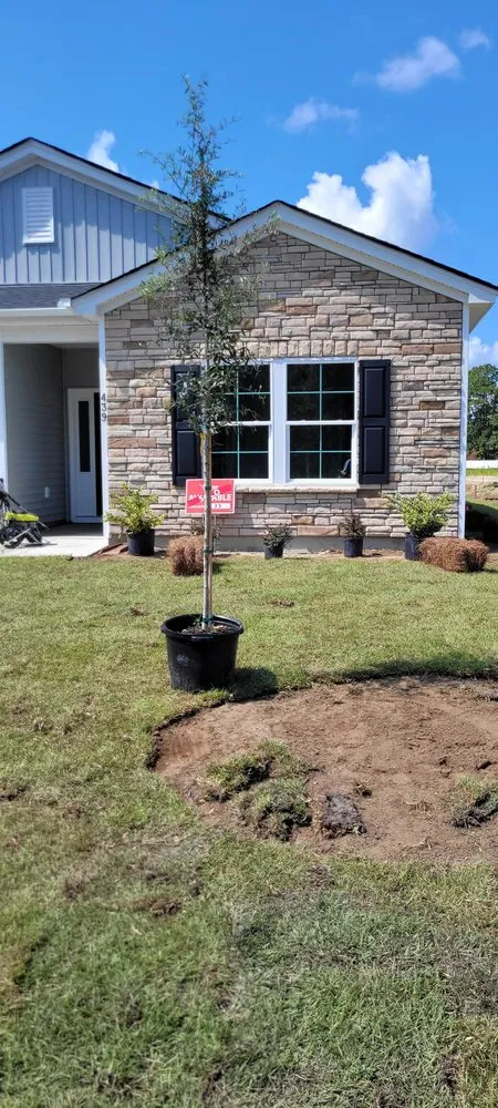 Professional lawn mowing service in Latta, SC - Thompson Moving Ground