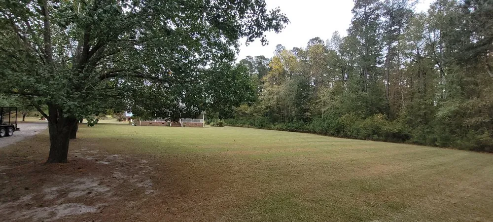 Top-rated landscape design for outdoor upgrades in Latta, SC by Thompson Moving Ground