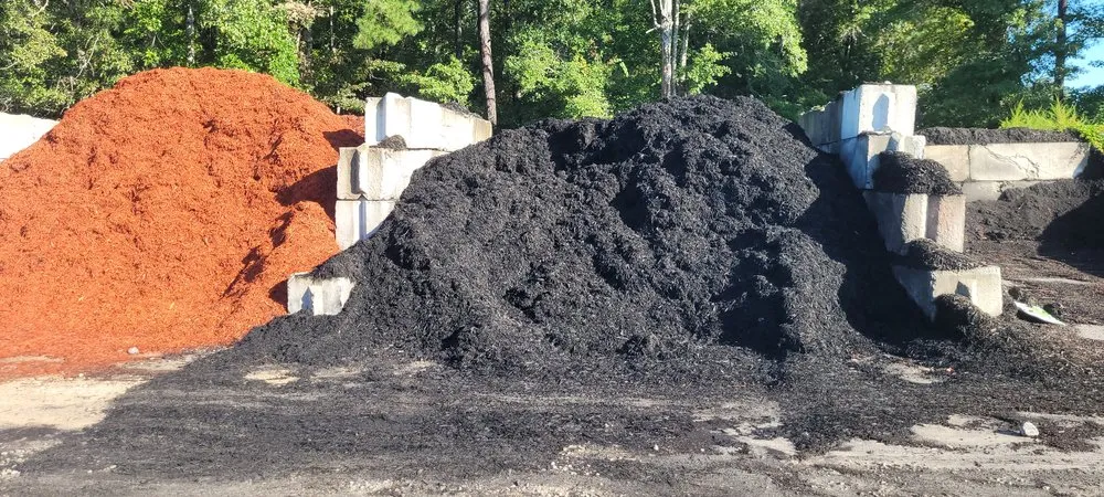 Professional lawn care service in Latta, SC - Thompson Moving Ground