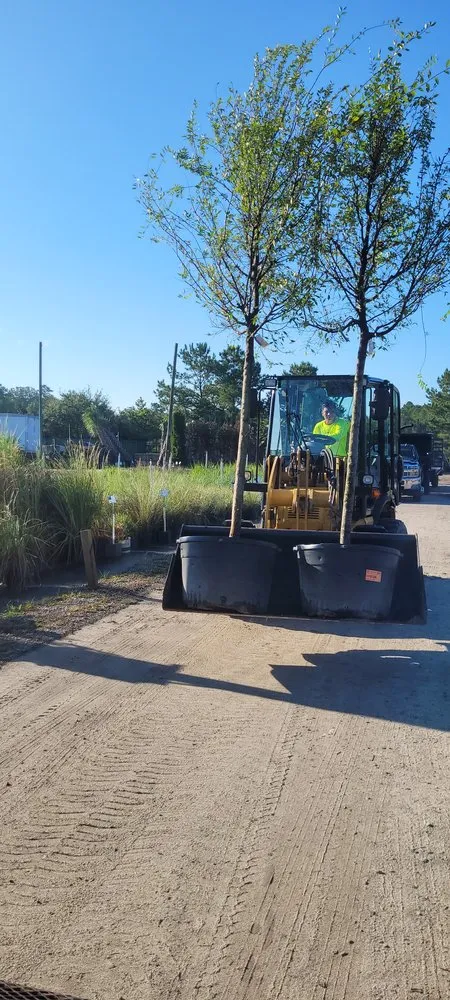 Professional outdoor landscaping in Latta, SC by Thompson Moving Ground