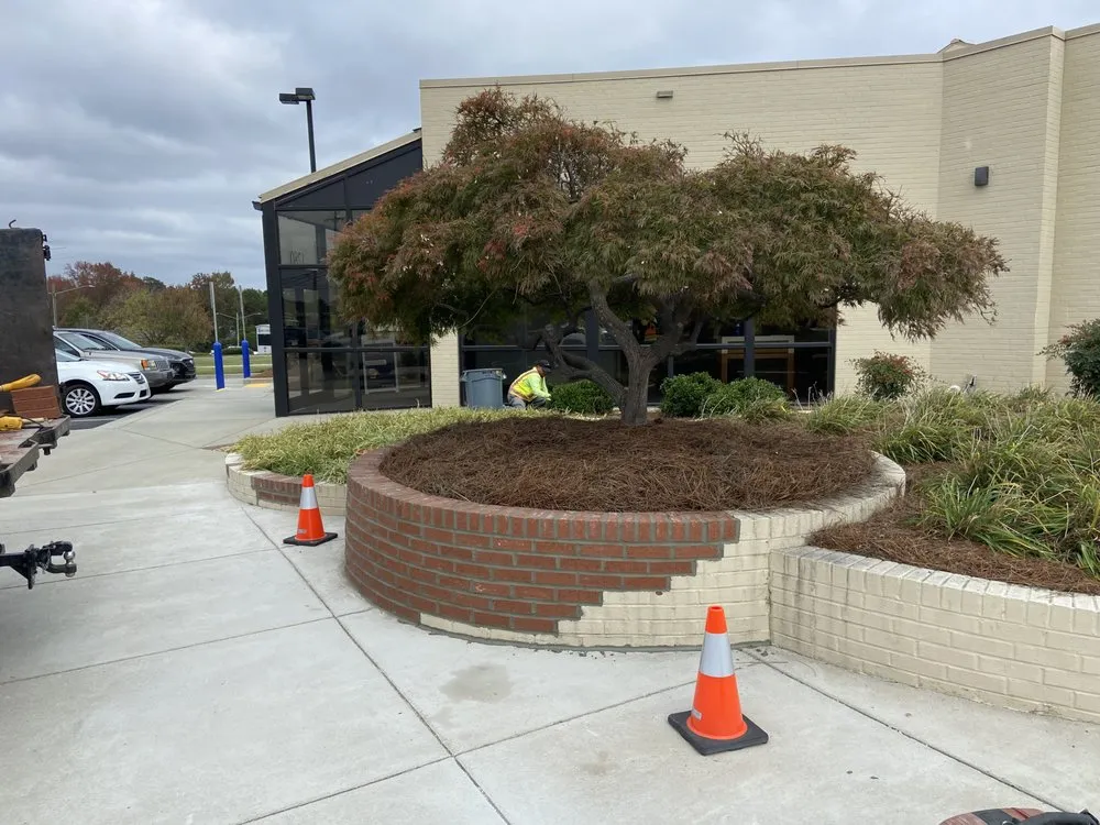 Affordable yard maintenance in Rocky Mount, NC by Thompson Nursery