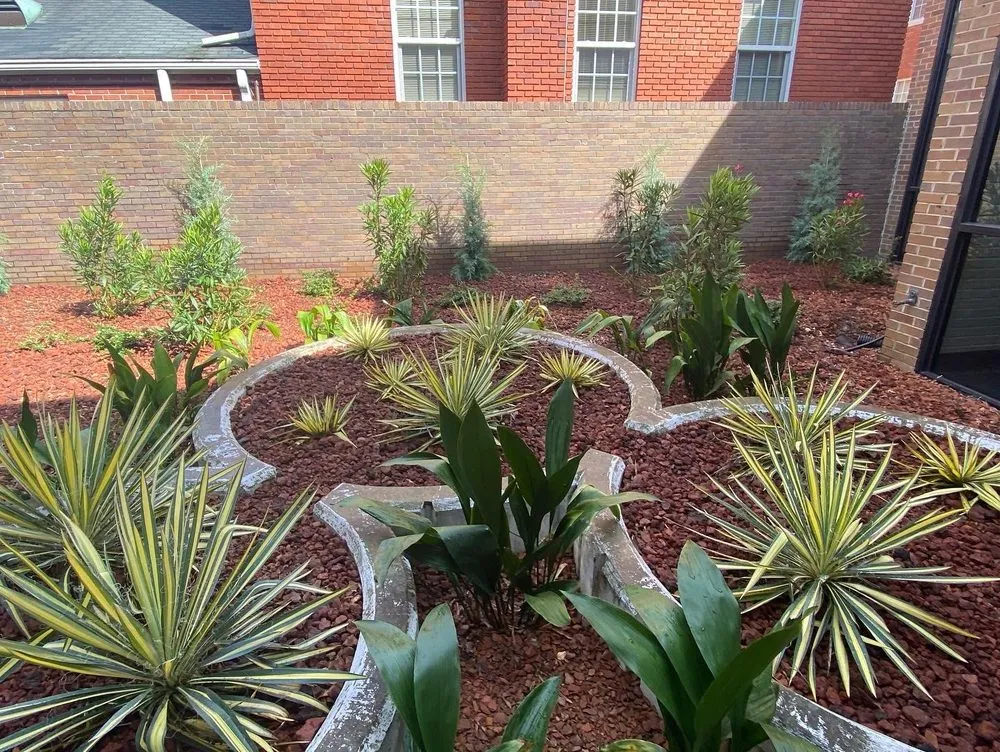 Reliable landscape design in Rocky Mount, NC - Thompson Nursery