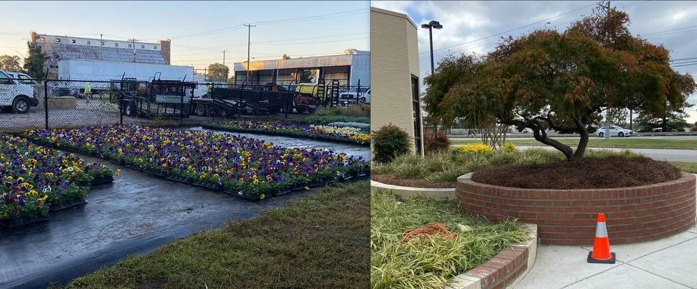 Trusted garden landscaping in Rocky Mount, NC by Thompson Nursery