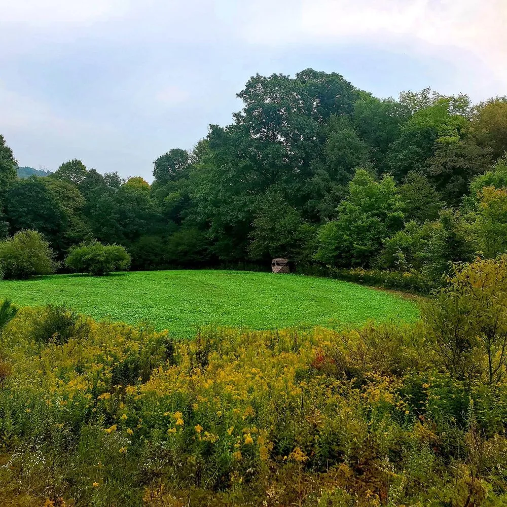 Trusted residential landscaping for residential properties in Edmond, OK by Thompson Outdoors